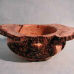 WoodTurn Abstract41